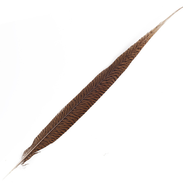 FFgene Golden Pheasant Tail