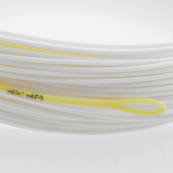 Soie de mouche Taimen Accuracy P