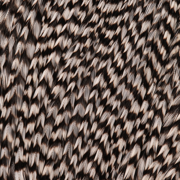 FFGene Howard Hackle Capes #3