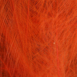 Spirit River UV2 Select CDC