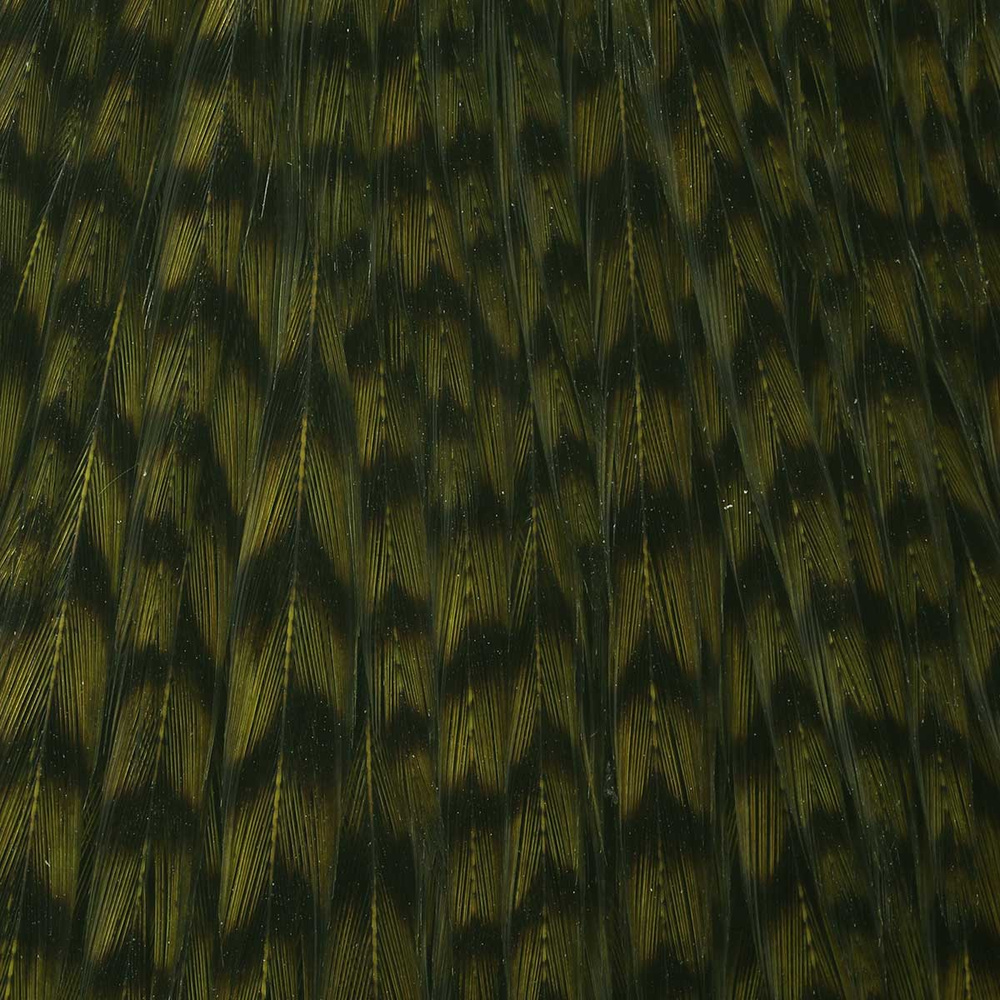 Over Grizzly - Olive