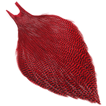 Capes de plumes de cou Wapsi Metz Magnum