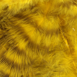 Hareline Plumes souples Grizzly pour hackle