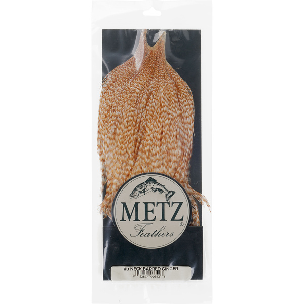 Cape de coq Metz #3