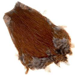 Cou de coq pour mouches sèches Wapsi