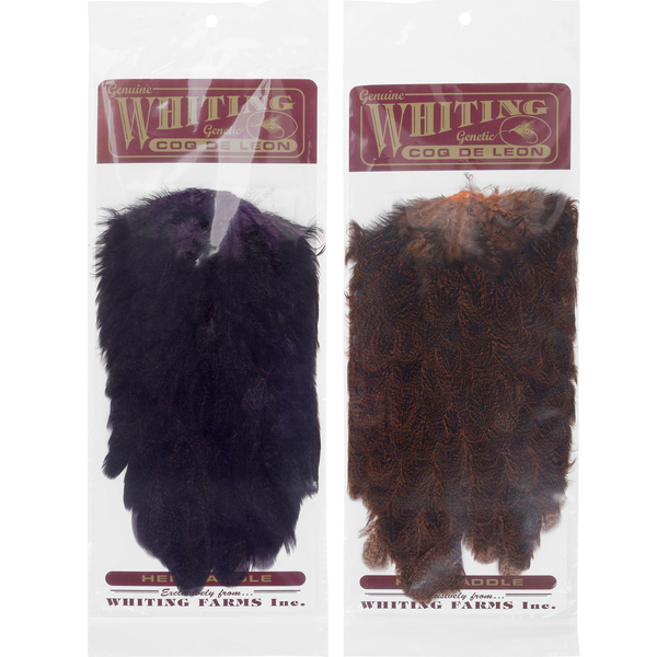 Selle de poule Whiting Coq de Leon