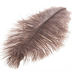 Spirit River UV2 – plumes d’autruche