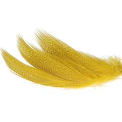 Hareline plumes de flanc de canard colvert