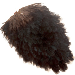 Selle de poule FFGene India