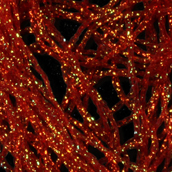 Hareline Midge Diamond Braid