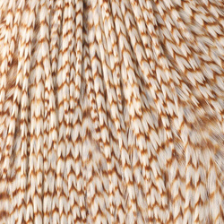 Demi-cape de plumes de cou Hareline