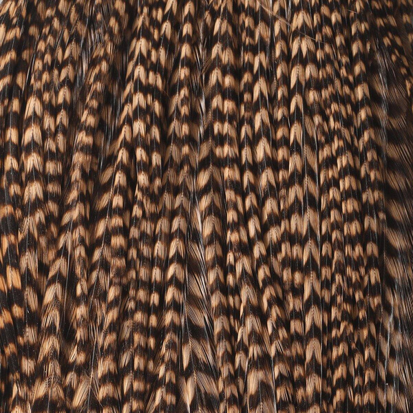 Demi-cape de plumes de cou Hareline