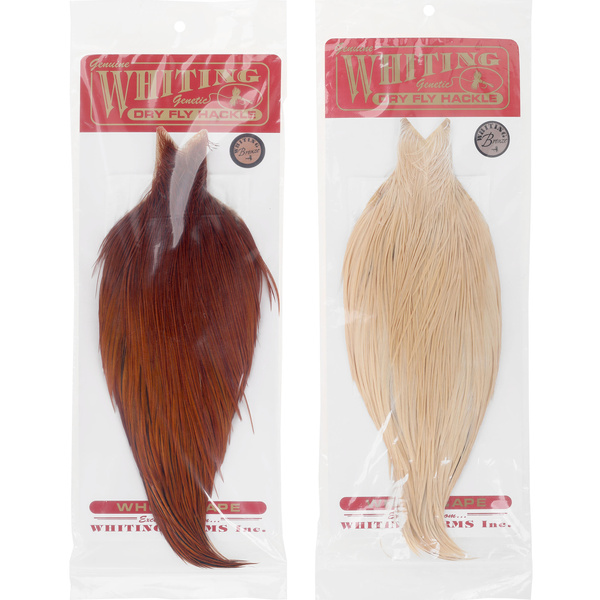 Cape de coq Whiting Bronze