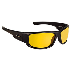 Lunettes polarisantes pêche Aqua Minnow