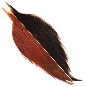 Demi-cou de coq Metz #3 1/2