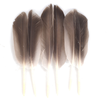 FFGene Plumes d’aile de canard colvert sauvage