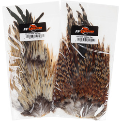 Selle de coq FFGene India