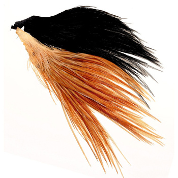 Plaque de plumes de cou de coq pour mouches sèches Wapsi