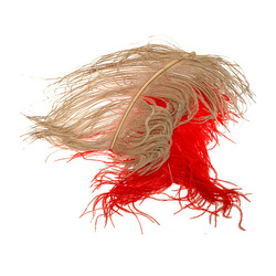 Wapsi Plumes d’autruche