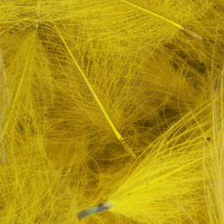 FFGene Pack de plumes CDC Color Jambo – 1 gr