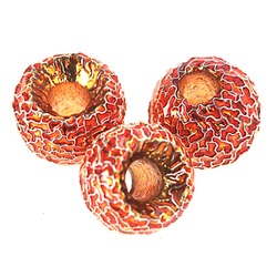 Perles en tungstène FFGene Tungsten Furrow Beads