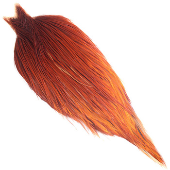 Cape de coq Whiting Hebert Bronze