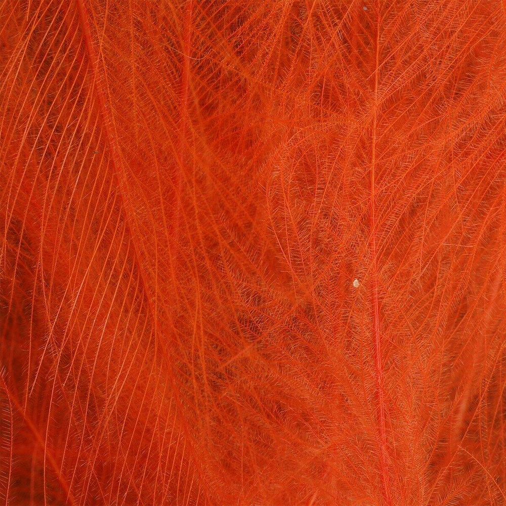Fluorescent Orange