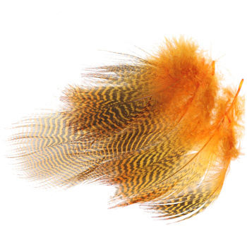 Wapsi Plumes barrées de flanc de sarcelle