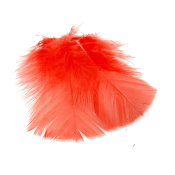 FFGene Substitut aux plumes d’ibis