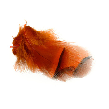 FFGene Plumes de perdrix rouge