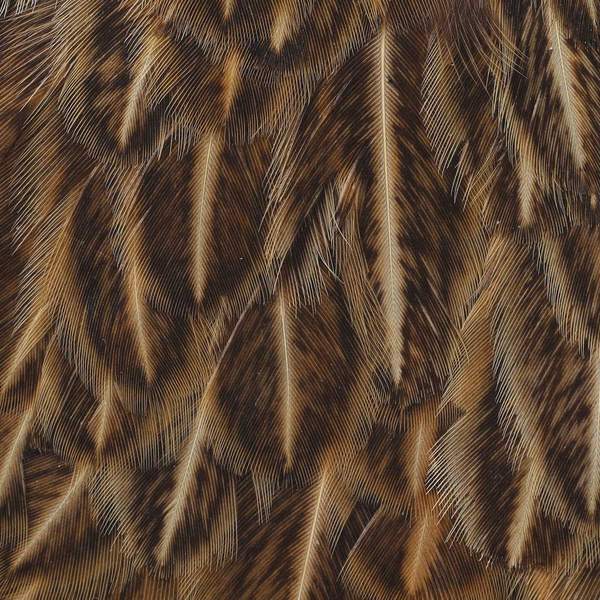 Wapsi Soft Hackle Hen Saddle Patch
