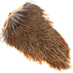 Selle de poule mouchetée FFGene India