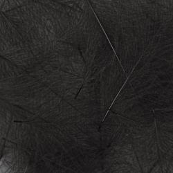 Hareline – plumes de cul-de-canard (CDC)