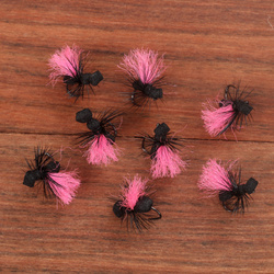 Fl Pink Indicator Black Ant