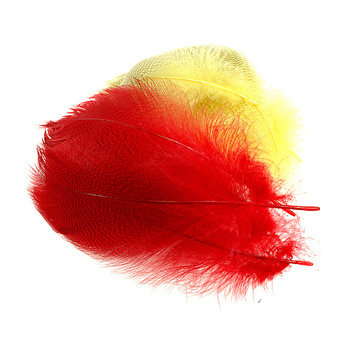Wapsi Grandes plumes barrées de flanc de canard colvert sélectionnées