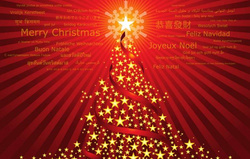 Canne Mouche Sage SLT