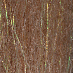 H2O Flash N Slinky 12 inch (flash)