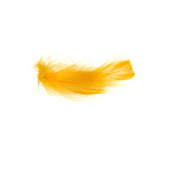 FFGene Plumes de substitution aux plumes de toucan