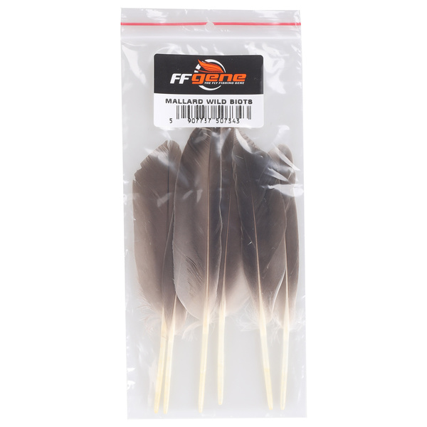 FFGene Plumes d’aile de canard colvert sauvage