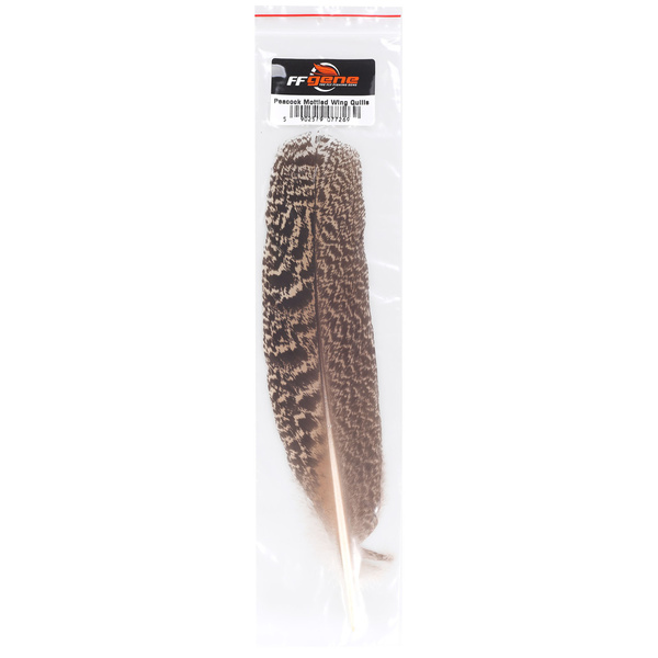 FFGene Plumes d’aile de paon mouchetées