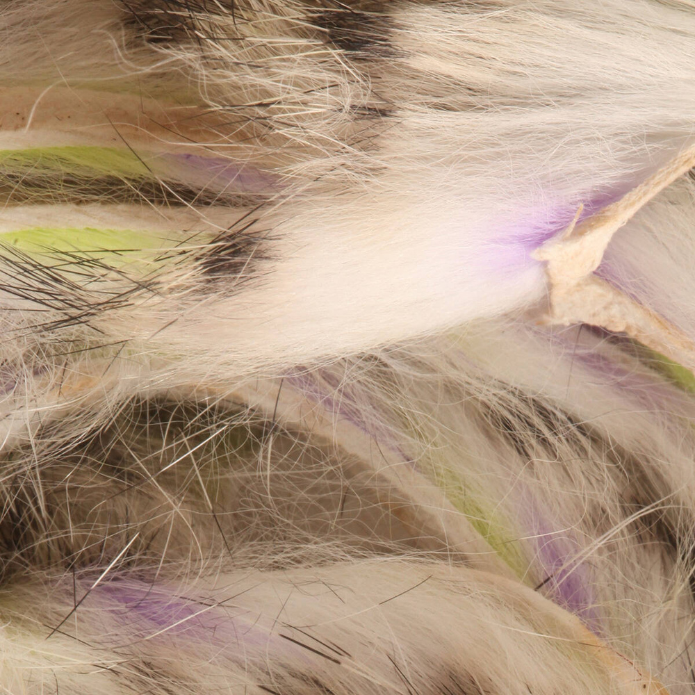 Yellow Chartreuse Purple White