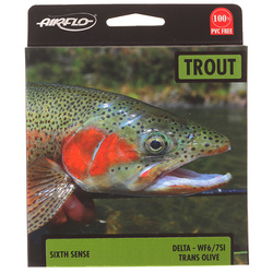 Soie mouche Airflo Sixth Sense Delta Intermediate