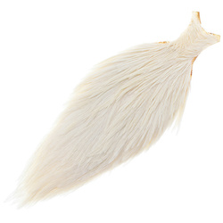 Col de coq FFGene de qualité commerciale