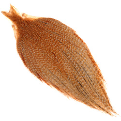 Cou de coq Keough Hackle Masters
