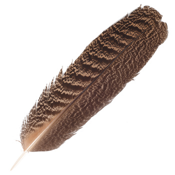 FFGene Plumes d’aile de paon mouchetées