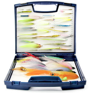 Boîte a mouches C and F CFGS 4000