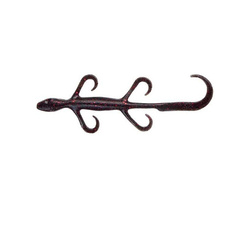Leurre souple Yum Lizard YL6 – 15.2 cm (lot de 10)