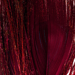 FFGene Sections teintées d’ocelles de plumes de queue de paon