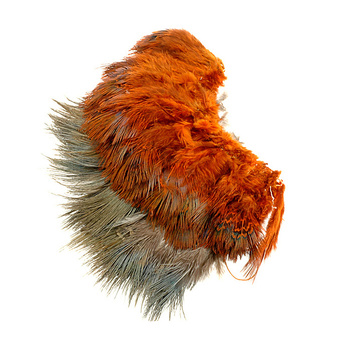 Wapsi Plumes de hackle de faisan à collier
