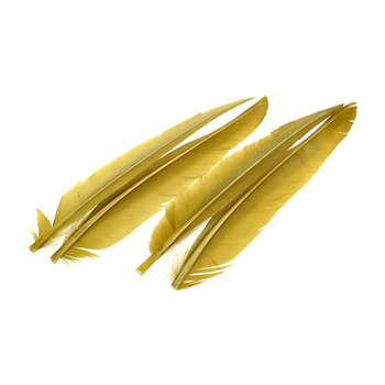 Wapsi Pennes d’aile de canard, 2 paires